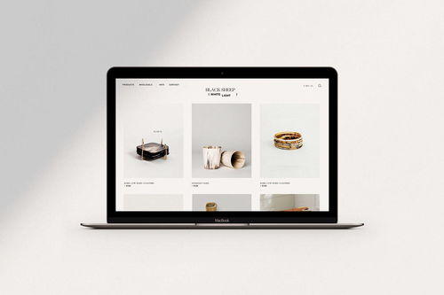 融合科技與自然的品牌美學(xué) 平面設(shè)計(jì)在室內(nèi)設(shè)計(jì)產(chǎn)品品牌形象與網(wǎng)絡(luò)技術(shù)開發(fā)中的創(chuàng)新實(shí)踐