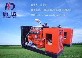 燃?xì)獍l(fā)電機(jī)組 高效清潔的能源解決方案